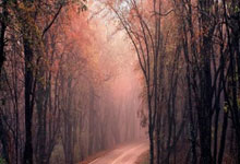 米兰体育官网：澳网-王欣瑜0-2不敌巴多萨 连续两年止步澳网首轮.