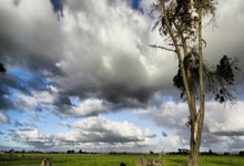 米兰体育官网：[天下足球]独“木”难成森林 曼城客.