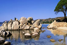 经纪人：阿切尔比&德弗里都配得上续约，但我们会尊重国米的决定.